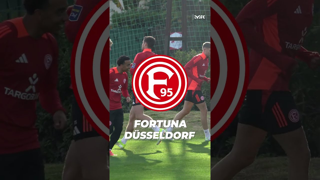 Câu Lạc Bộ Fortuna Düsseldorf - Hành Trình Đầy Kịch Tính và Di Sản Bóng Đá