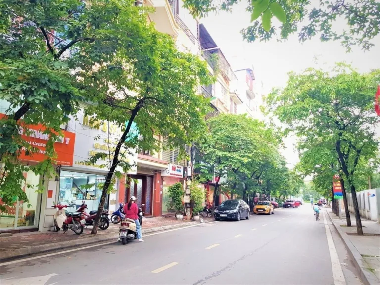 Giới thiệu về Phố Bùi Xương Trạch 