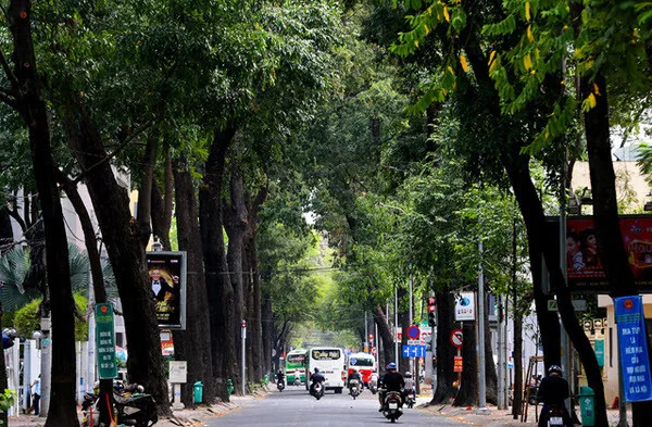 Giới thiệu chung về Phố Lò Đúc